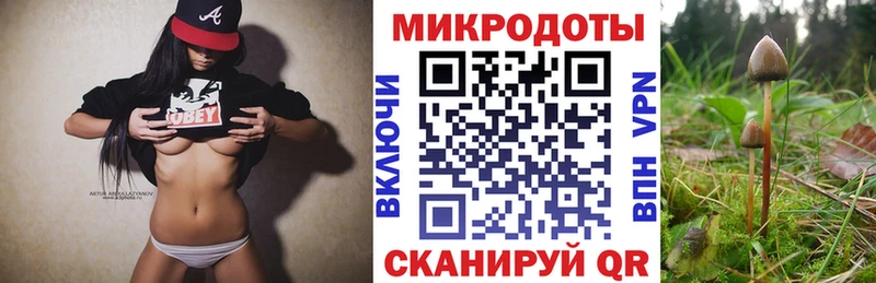Псилоцибиновые грибы Psilocybe  Купить закладки  Свободный 