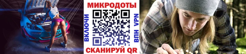 Псилоцибиновые грибы мицелий Свободный